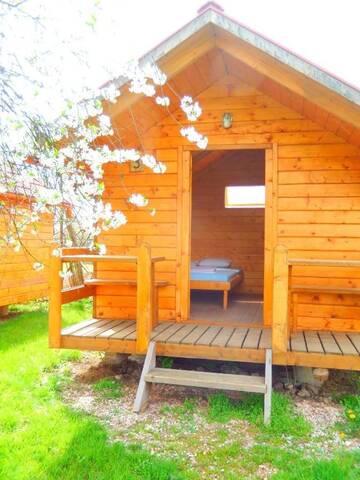 Фото номера Бунгало с 1 спальней и общей ванной комнатой Кемпинги Turul Guesthouse and Camping г. Remetea 2
